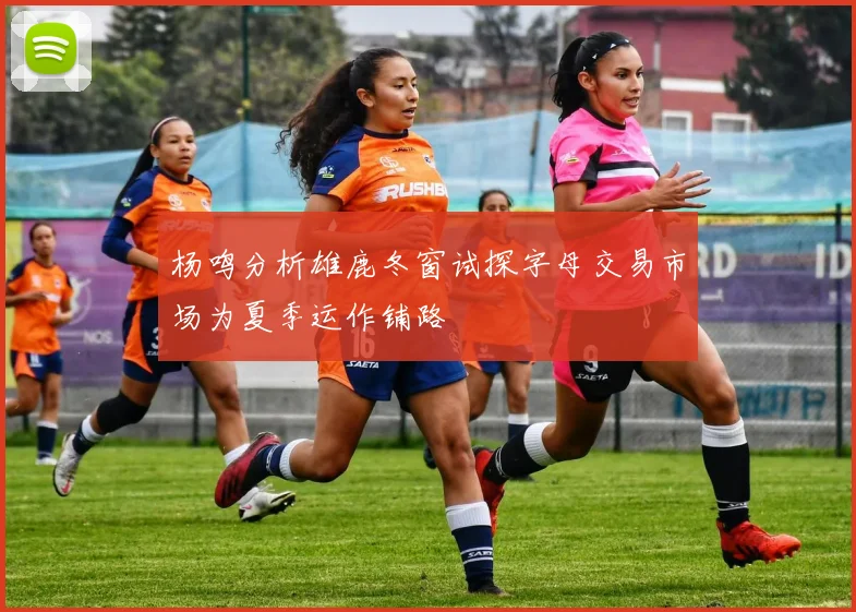 杨鸣分析雄鹿冬窗试探字母交易市场为夏季运作铺路