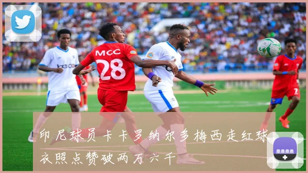 印尼球员卡卡罗纳尔多梅西走红球衣照点赞破两万六千